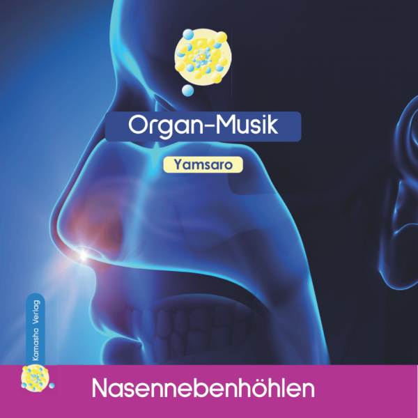 Nasennebenhöhlen CD Yamsaro Organ-Anatomie