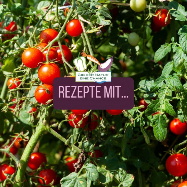 Rezepte-mit-Tomaten-q
