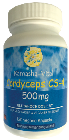 Cordyceps Sinensis CS-4, 120 Kapseln je 500 mg