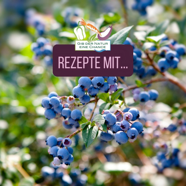 Rezepte-mit-Blaubeeren-qwH0xEHFpmUKvr