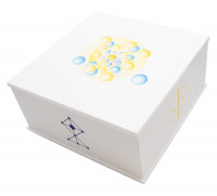 369 EnergyBox 369 EnergyBox