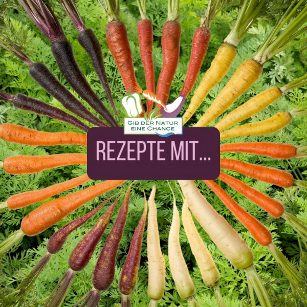Rezepte-mit-Karotten-q
