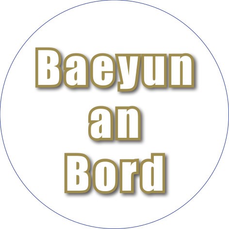 10 Stück+2 GRATIS - SET Outdoor Aufkleber: "Baeyun an Bord"