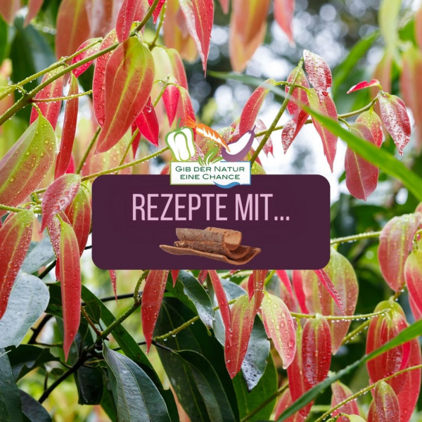 Rezepte-mit-Zimt-q