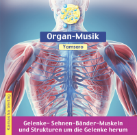 CD | Organ-Musik Yamsaro | Gelenke-Sehnen-Bänder-Muskeln CD | Organ-Musik Yamsaro | Gelenke-Sehnen-Bänder-Muskeln