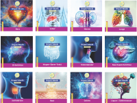 CD-SET | Organ-Musik Yamsaro (12 Stück) CD-SET | Organ-Musik Yamsaro (12 Stück)