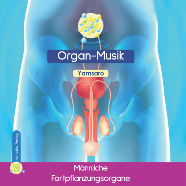 männliche Fortpflanzungsorgane CD Organ-Musik Yamsaro