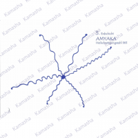 Symboltafel Nr. 5 Amyaka Symboltafel Nr. 5 Amyaka