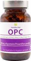 OPC Traubenkernextrakt | 60 Kapseln à 420 mg OPC Traubenkernextrakt | 60 Kapseln à 420 mg